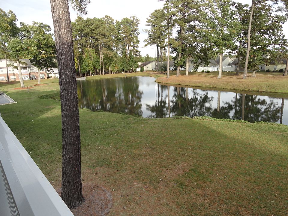 View of Pond