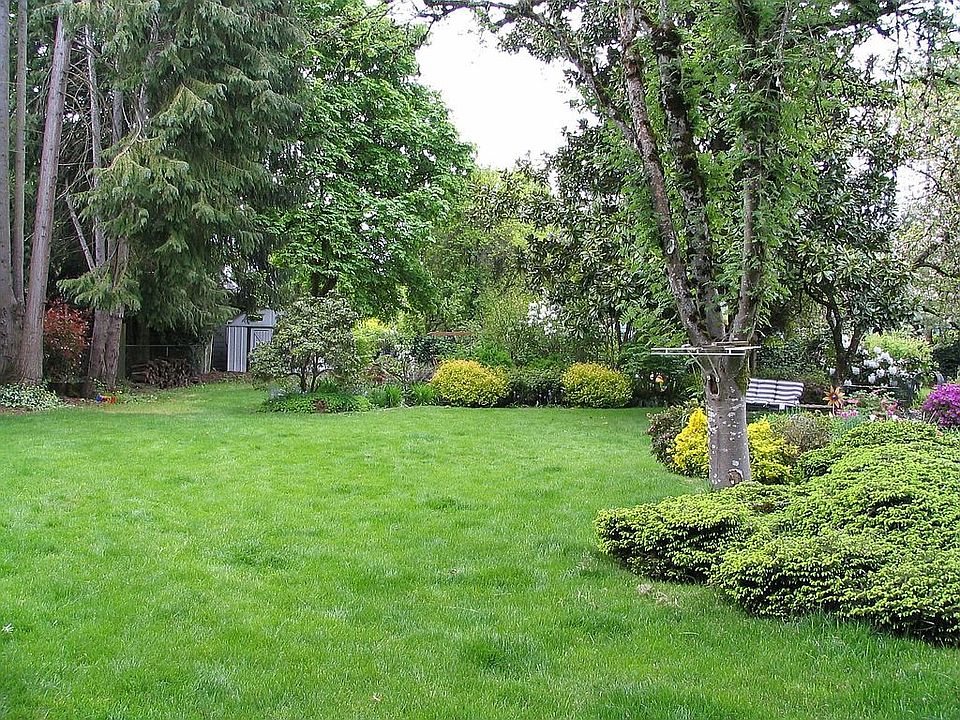 Bach yard