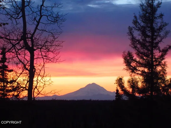 25005 Arctic Fox Rd, Kasilof, AK 99610