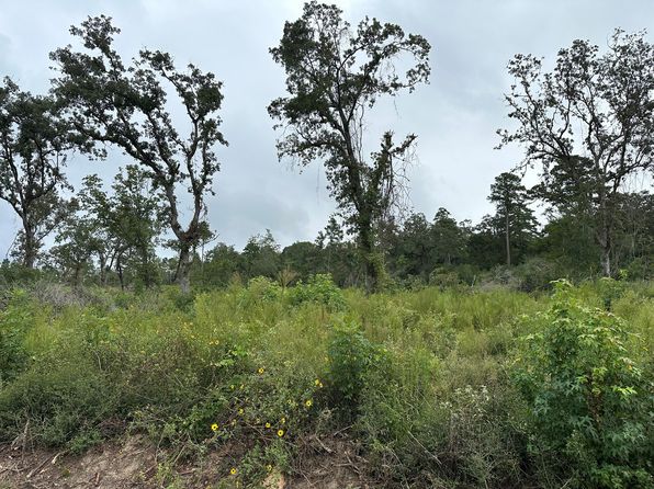 Fm 2022 #362AC, Grapeland, TX 75844