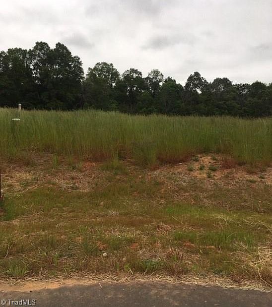 2nd image of Saddlebrook Dr