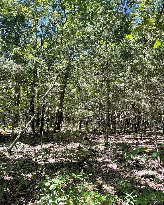 Vineyard Wc 2 Rd, Canehill, AR 72717 MLS 1254259 Zillow