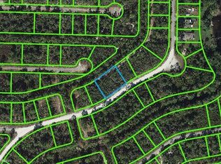 3369 Popinjay Ave, Lake Placid, FL 33852