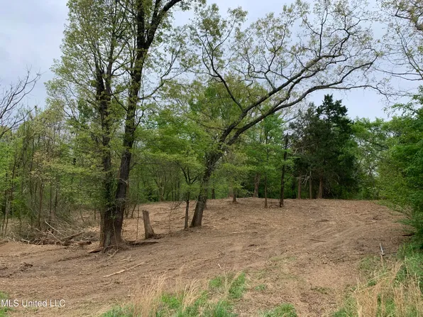 4991 County Line Rd, Coldwater, MS 38618