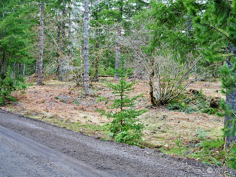 3rd image of 4 Loowit Lane