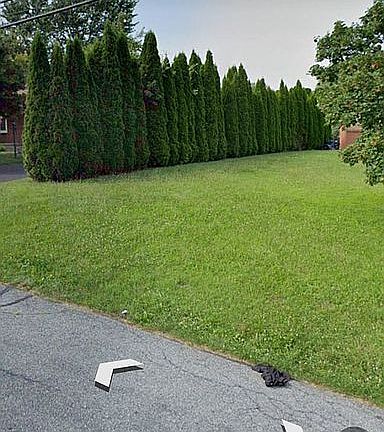 2nd image of 2801 Eldridge Ave