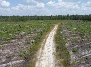 0 County Line Rd, Hinesville, GA 31313