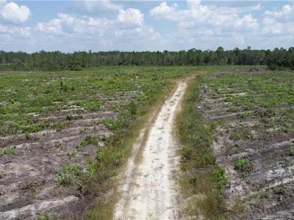 0 County Line Rd, Hinesville, GA 31313