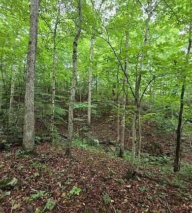 4th image of 0 Beechmont Rd