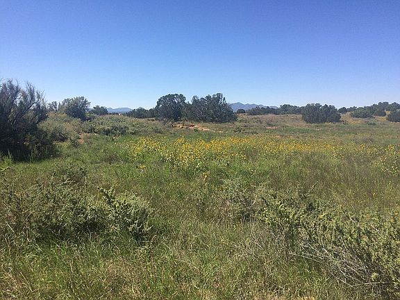 Meadow