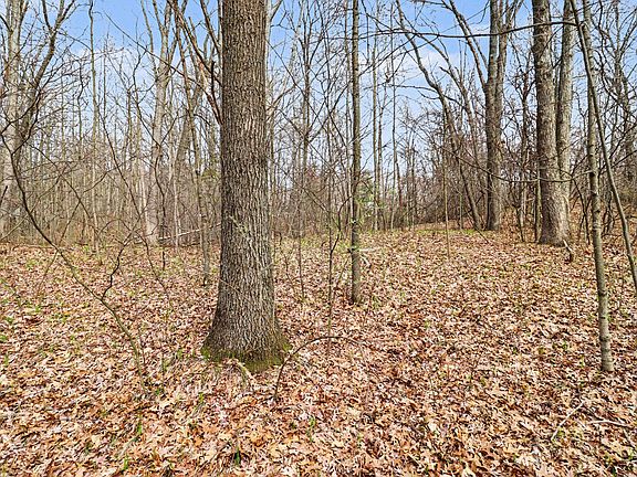 3rd image of 6920-19 Mile Rd NE