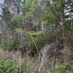 1020 Frank Carver Rd, Magnolia, MS, 39652