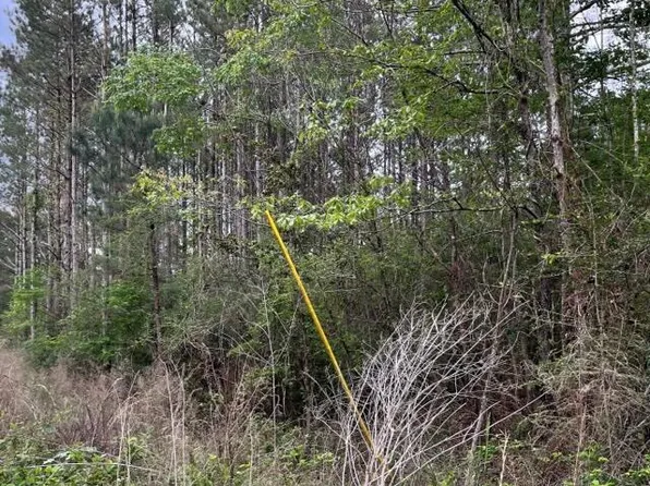 1020 Frank Carver Rd, Magnolia, MS 39652