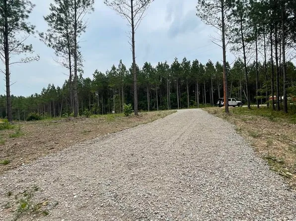 162 Pinewood Dr, Hohenwald, TN 38462