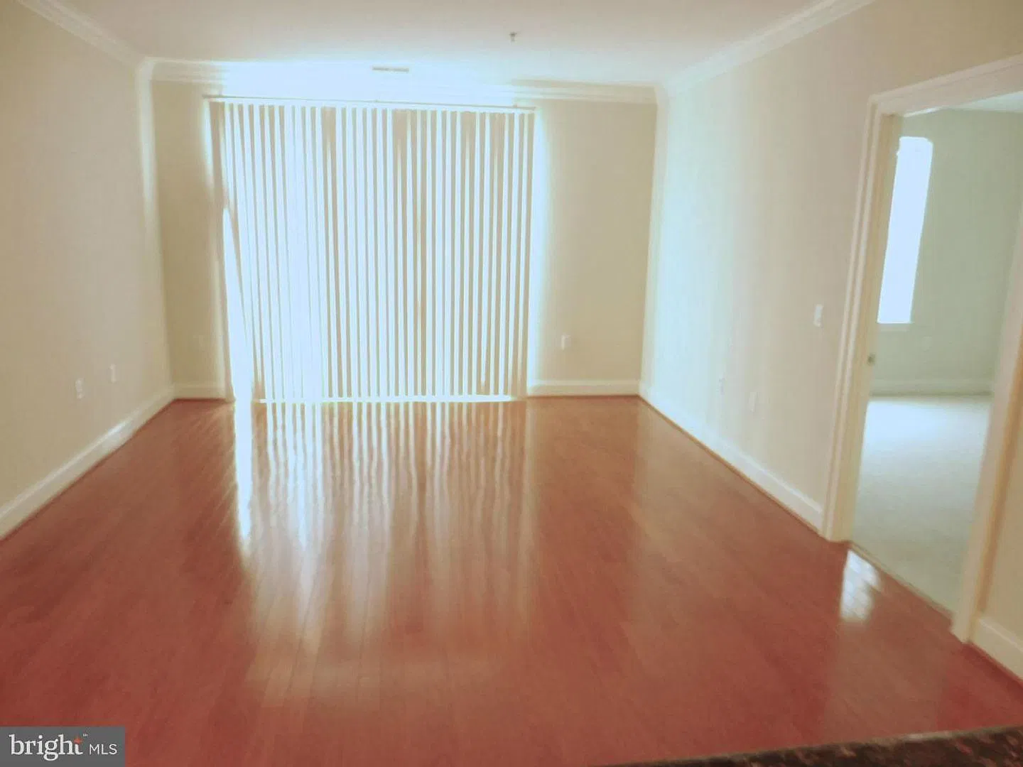Luxury 2BR/2BA Penthouse Condo in Rockville Town Center! — Photo 4