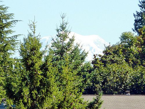 1st image of 2144 7th Ave SW #2144