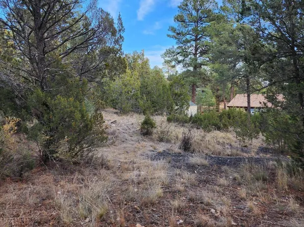 3515 Broken Arrow Rd, Heber, AZ 85933