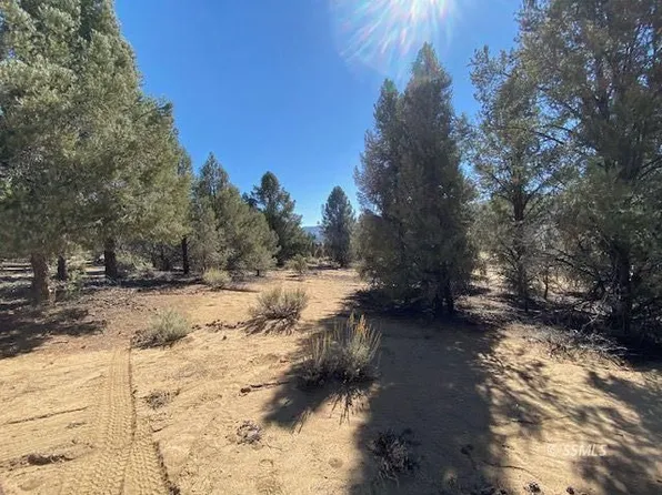 Conifer Kennedy Mdws, Inyokern, CA 93527