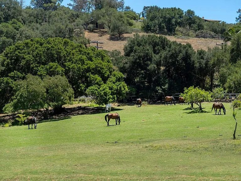 7110 Gobernador Canyon Rd — Photo 10