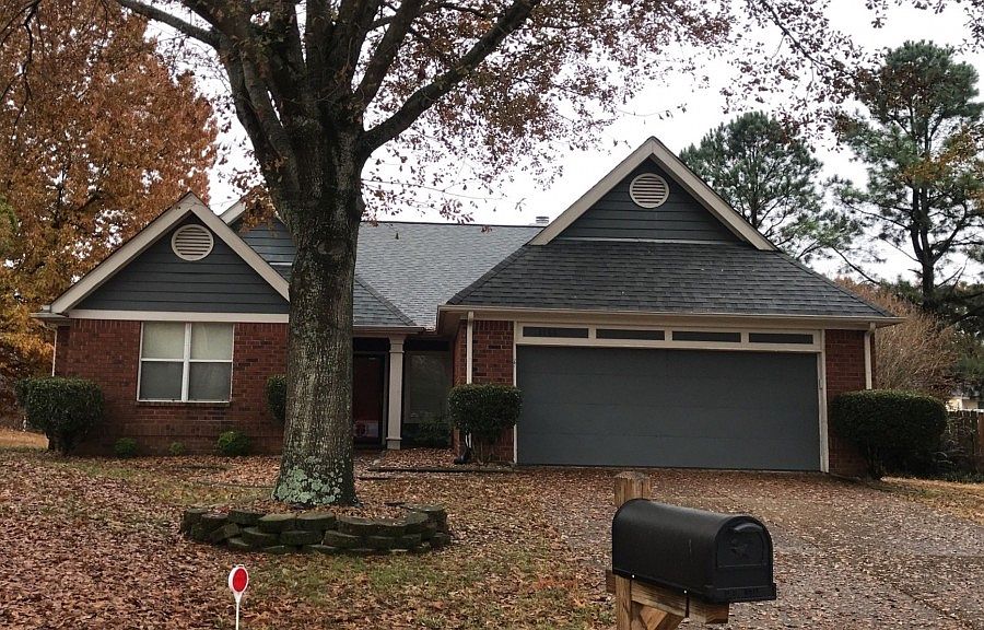 1st image of 8168 Oak Moss Cv