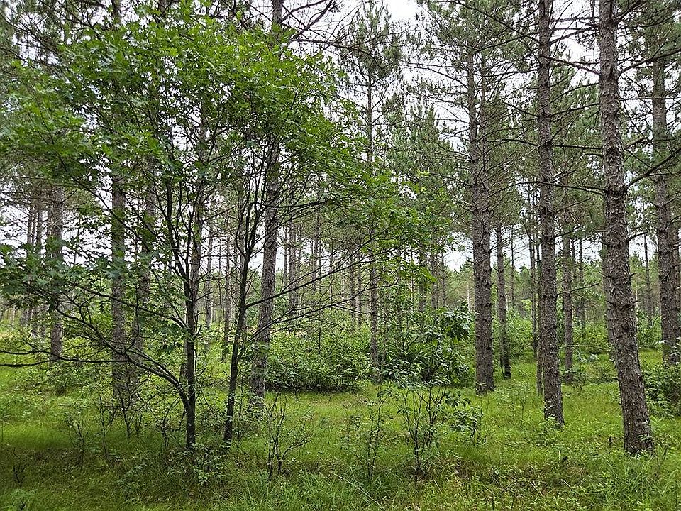 1st image of 9 Hidden Trl