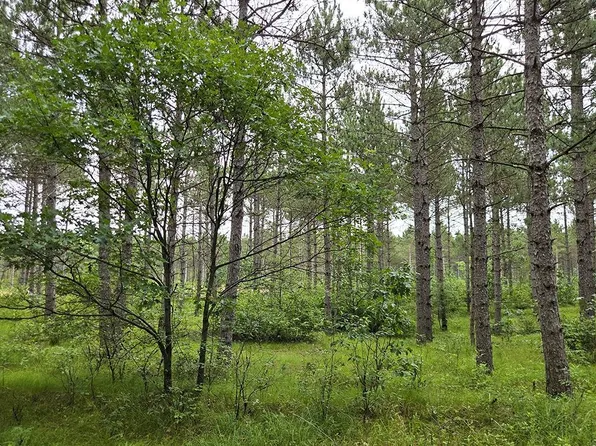 9 Hidden Trl, Nekoosa, WI 54457