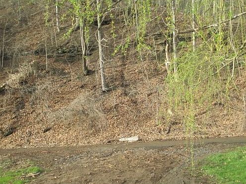 2nd image of 1030 White Oak Creek Rd