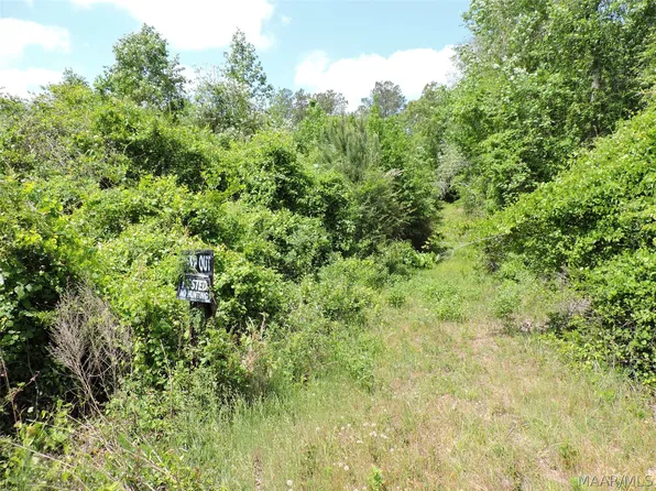 0 Davenport Rd, Greenville, AL 36037