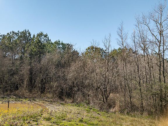 2nd image of 0 Plant Rd