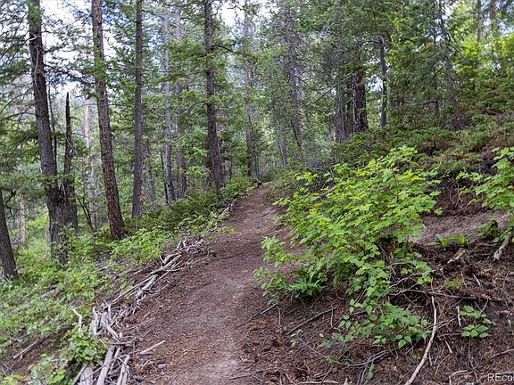 2nd image of 31429 Burke Road LOT 2