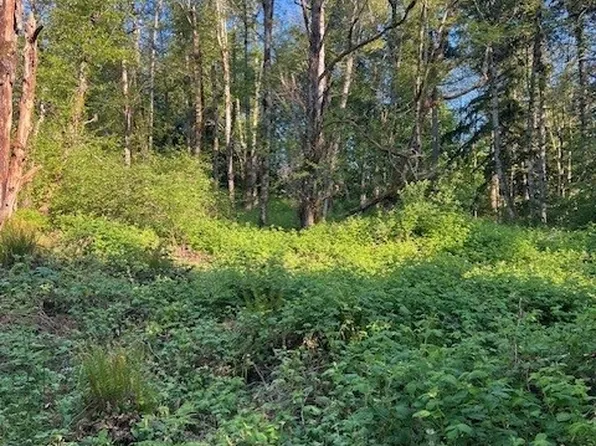 8805 Steamboat Island Road NW, Olympia, WA 98502