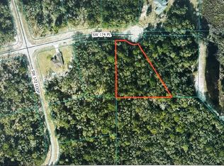 TBA SW 174 PLACE LOT 17, OCALA, FL 34473