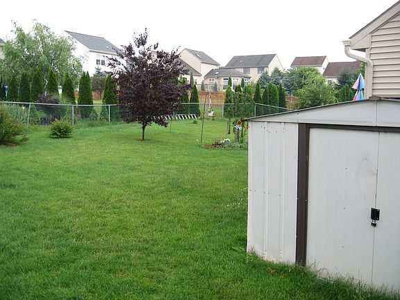 Backyard w/outbuilding