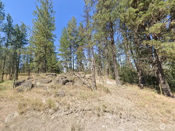 24535 S Pine Spring Rd, Cheney, WA 99004