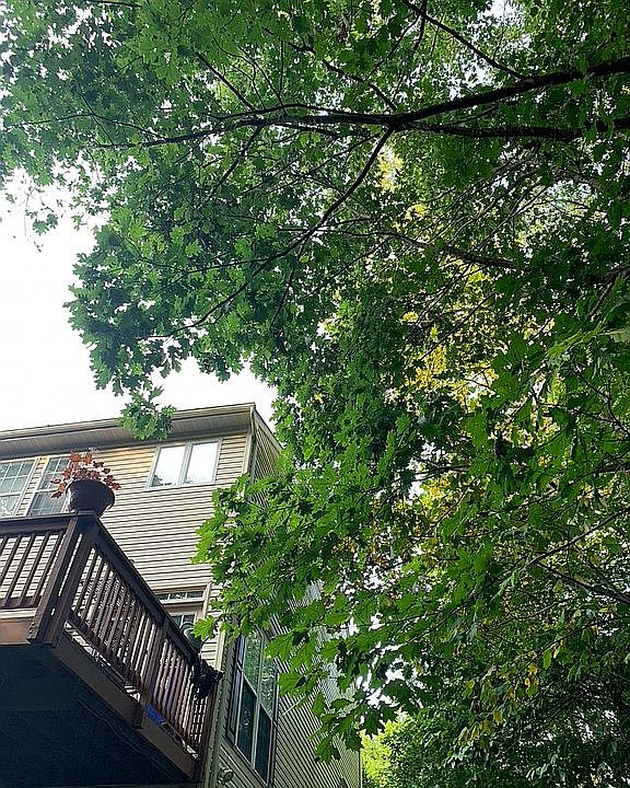 2nd image of 12900 Big Horn Dr