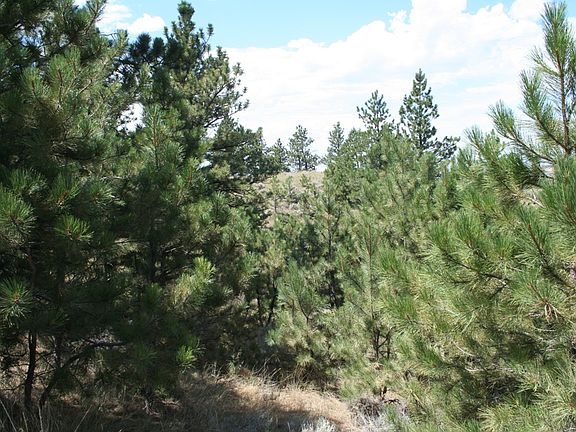 2nd image of Lot 114 Paradise Bluff