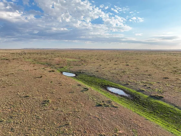 0 Dancing Rd, Fort Sumner, NM 88119