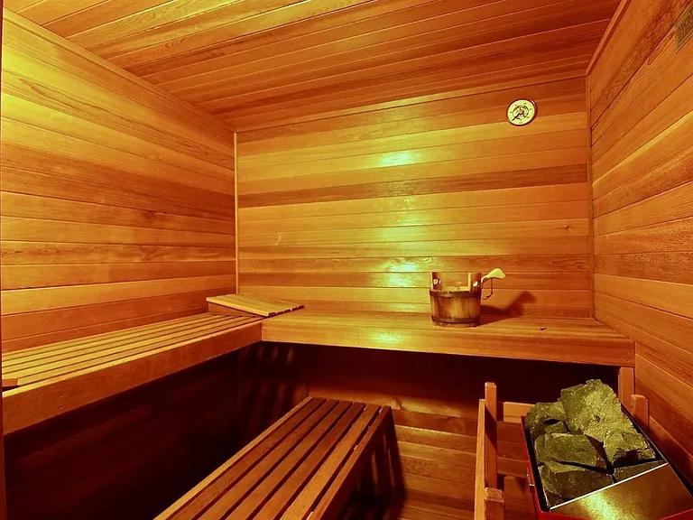 Sauna room
