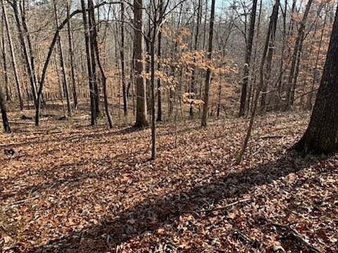 2nd image of 323 William Falls Dr