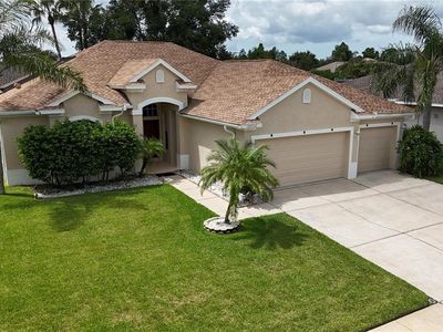 10452 Gooseberry Ct, Trinity, FL, 34655