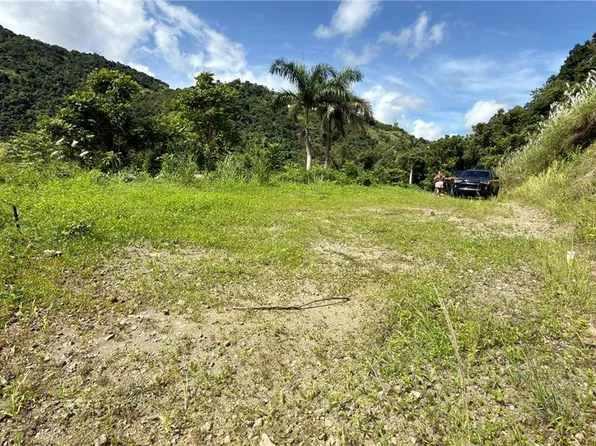 Bo Honduras, Cidra, PR 00739