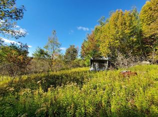 2580 Scotch Hill Rd, Bloomville, NY 13739