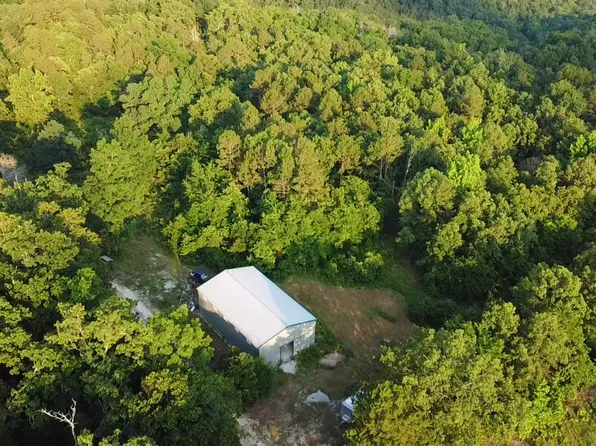 001-08872-000 Delaney Ln, Calico Rock, AR 72519