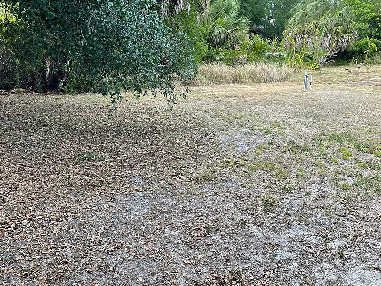 Spacious yard