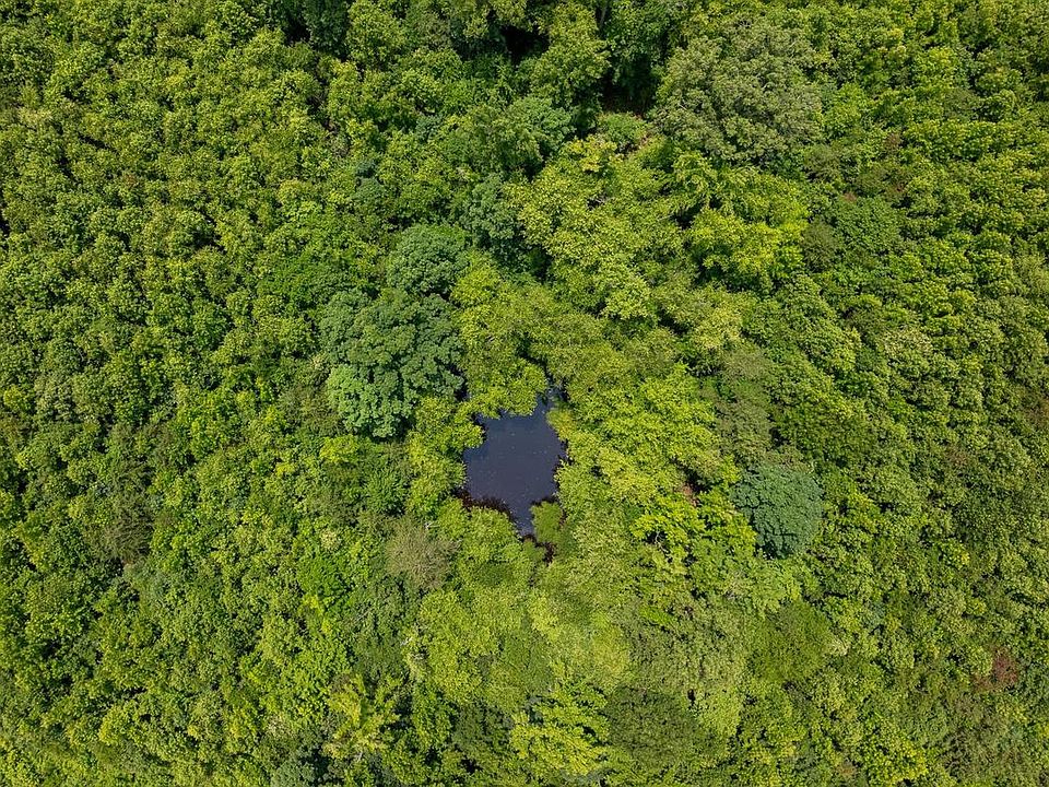 1st image of Piney Grove Rd #21