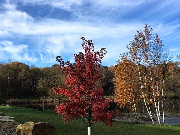 Beautiful Fall colors 