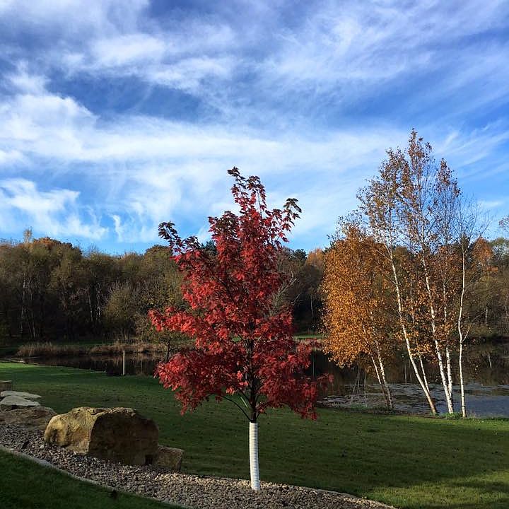 Beautiful Fall colors 