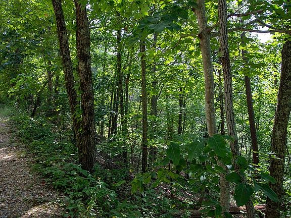 4th image of 0 Pebbles Mountain Way Lot 54