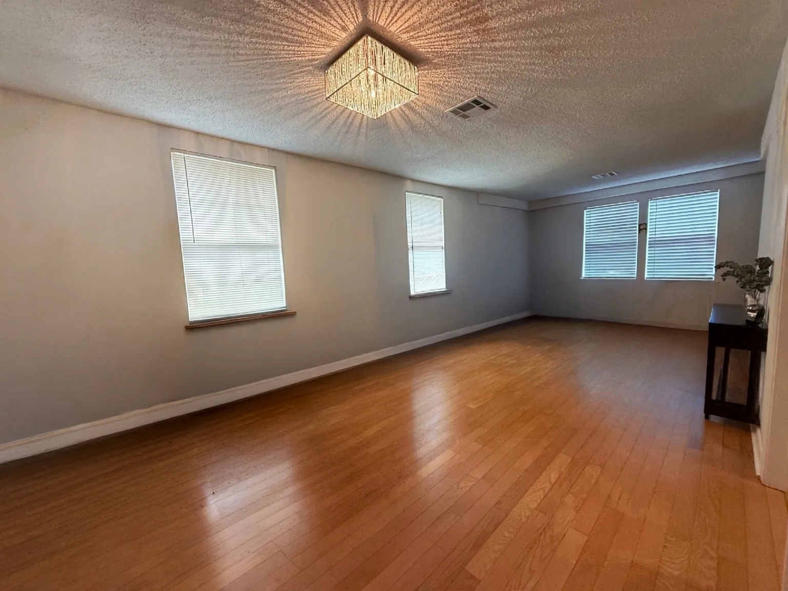 2 bed, 1000 sqft, $1,650 — Photo 4