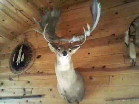 4th image of 10211 West Big Muskie Road #60